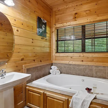 Kozy Bear Kabin Sevierville Exterior photo